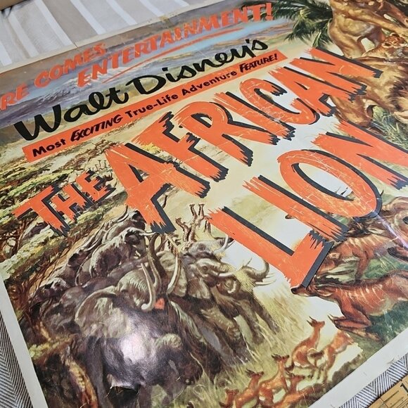 1955 The African Lion Original Walt Disney 28x22 Litho Movie Poster Very Rare US - Picture 8 of 12